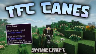 TFC Canes Mod (1.21.1, 1.20.1) – Travel Rough Terrain Without Slowing Down