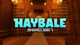 Haybale Mod (1.21.8, 1.20.1) – Registration, Networking, And Platform Services