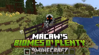 Macaw's Biomes O' Plenty Mod (26.2, 1.20.1) – Build with Exotic Woods