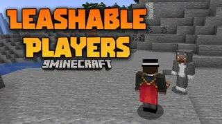 Leashable Players Mod (26.2, 1.20.1) – Leash Your Friends