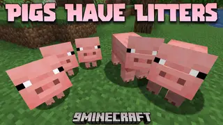 Pigs Have Litters Mod (1.21.11, 1.20.1) – Making Pigs Have Litters on Breed