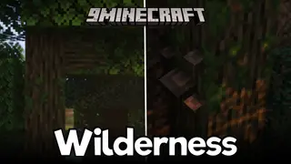 Ketok Wilderness Mod (1.20.1, 1.20) – Enhanced Forest Biomes