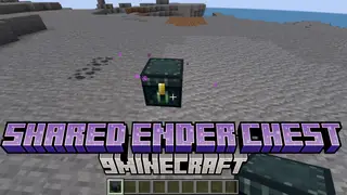 Shared Ender Chest Mod (1.21.11, 1.20.1) – Enhance Multiplayer Cooperation