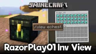 RayzorPlay01 Inv View Mod (26.2, 1.20.1) – Police Your Server's Items