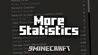 More Statistics Mod (1.21.11, 1.20.6) – Gamer Tracks More Stats