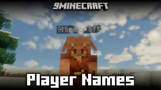Player Names Mod (1.21.11, 1.20.6) – Command To Name Players And Mobs