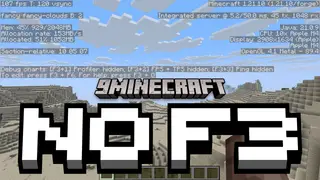 No F3 Mod (1.21.10, 1.20.1) – Hide Debugging Information
