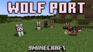Wolf Port Mod (1.20.4, 1.20.1) – Find a Different Wolf in Every Biome