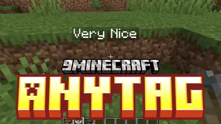 Anytag Mod (1.21.1, 1.20.1) – Name Tag Any Block, Not Just Mobs