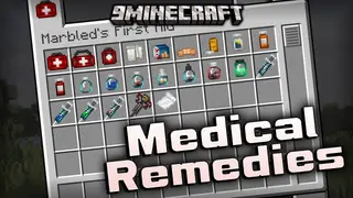 Medical Remedies Mod (1.21.1, 1.20.1) – Heal Players And Mobs With Pills And Syringes