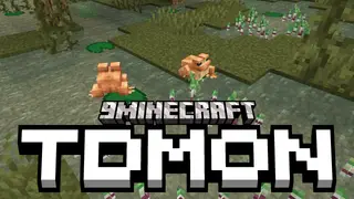TDmon Mod (1.21.1, 1.20.1) – More Custom Pokémon