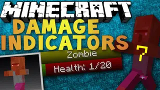 ToroCraft's Damage Indicators Mod (1.21.1, 1.20.1) – Show Health Received