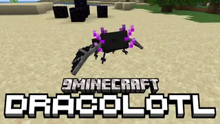 Dracolotl Mod (1.21.1, 1.20.1) – Hatch a Battle Pet From the Dragon Egg
