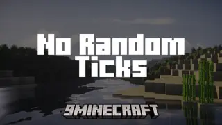 No Random Ticks Mod (1.21.1, 1.20.1) – Run Huge Worlds Without Any Lag