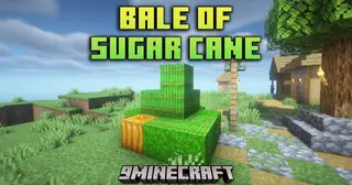 Bale Of Sugar Cane Mod (1.21.10, 1.21.1) – Organize Your Sugar Cane