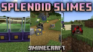 Splendid Slimes Mod (1.20.1, 1.20) – Manage Your Own Slime Ranch