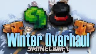 Winter Overhaul Mod (1.21.8, 1.20.1) – Overhauls Snowy Biomes
