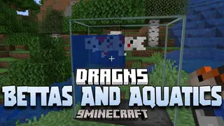 DragNs Bettas And Aquatics Mod (1.20.1, 1.19.2) – Fishes and Aquariums