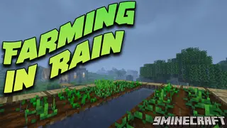 Farming in Rain Mod (1.21.1, 1.20.1) – Crops Grow Faster in Rain