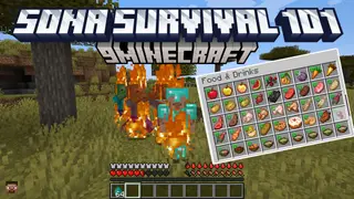 Sona Survival 101 Mod (1.20.1, 1.19.2) – Tend to Wounds and Illness