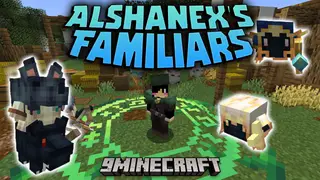 Alshanex's Familiars Mod (1.21.1, 1.20.1) – Add a Mage to Your Party