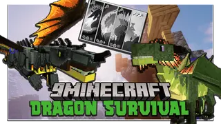 Dragons Survival Mod (1.21.1, 1.20.1) – Play as a Dragon