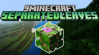 Separated Leaves Mod (1.21.5, 1.20.1) – Keeps Tree Farms Clean and Organized
