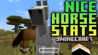 Nice Horse Stats Mod (1.21.5, 1.21.3) – The Perfect Tool For Horse Breeders