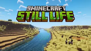 Still Life Mod (1.21.8, 1.20.1) – Biomes Are Replaced With More Natural Versions
