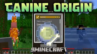 Canine Origin Mod (1.20.6, 1.20.1) – Dog Days Of Minecraft