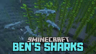 Ben's Sharks Mod (1.21.1, 1.20.1) – Many Sharks and Unique Items