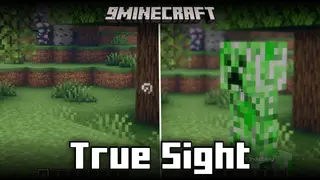 True Sight Mod (1.21.5, 1.20.6) – Make Invisible Entities Visible