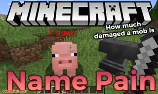Name Pain Mod (1.21.8, 1.20.1) – How Much Damaged a Mob Is