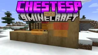 ChestESP Mod (1.21.8, 1.20.1) – See Chests Through Walls