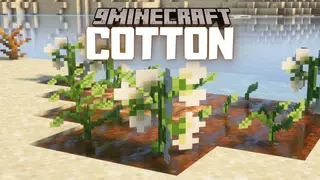 Cotton Mod (1.19.2) – Cotton Seeds, Plants, and Balls