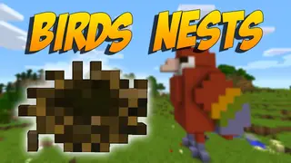 Birds Nests Mod (1.21.8, 1.20.1) – Search for Bird Nests and Get Rewards