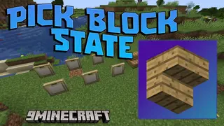 Pick Block State Mod (1.21.3, 1.20.1) – Copy Block States With Precision