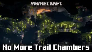 No More Trail Chambers Mod (1.21.4) – Removes Trail Chambers From World Generation