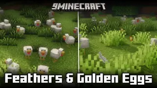 Feathers & Golden Eggs Mod (1.21.5) – Chickens Shed Feathers, Lay Eggs & Golden Nuggets