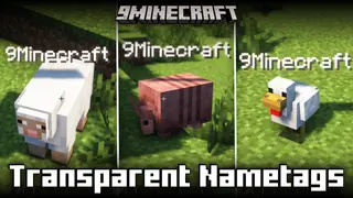 Transparent Nametags Mod (1.21.8, 1.20.1) – Makes Nametag Backgrounds Transparent