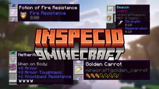 Inspecio Mod (1.20.1, 1.19.2) – Makes Tooltips Better For Many Items