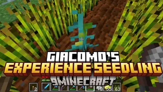 Giacomo's Experience Seedling Mod (1.20.4, 1.20.1) – Farm Experience Like Crops