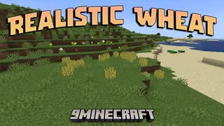 Realistic Wheat Mod (1.20.1, 1.19.2) – Natural Farming