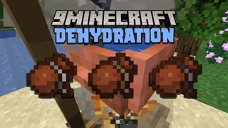 Dehydration Mod (1.21.1, 1.20.1) – Thirst / The Need to Drink Water