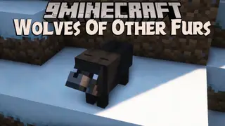 Wolves Of Other Furs Mod (1.20.1, 1.19.2) – Wolves Spawn in Every Biome