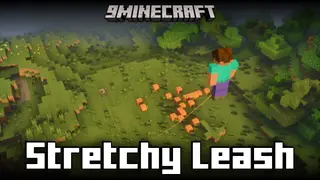 Stretchy Leash Mod (1.21.5, 1.20.1) – Configure Leash Features