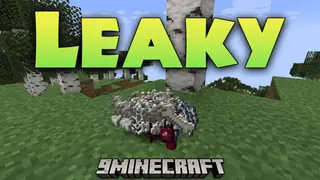 Leaky Mod (1.21.1, 1.20.1) – Item Lag Fix
