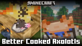 Better Cooked Axolotls Mod (1.21.1, 1.20.1) – Cook & Eat Axolotls
