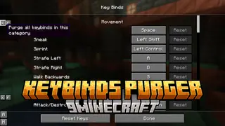 KeybindsPurger Mod (1.21.5, 1.20.1) – Removes All Keybinds in a Specific Category