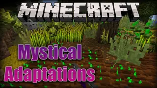 Mystical Adaptations Mod (1.20.1, 1.19.2) – Insanium Armor, Tools & More